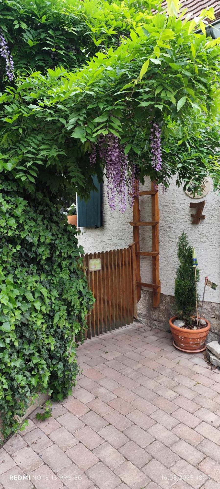 Ferienwohnung Geiernest Ochsenfurt Exterior photo